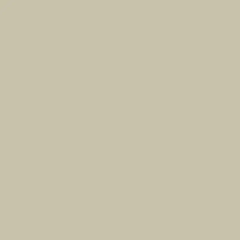 Warm Grey